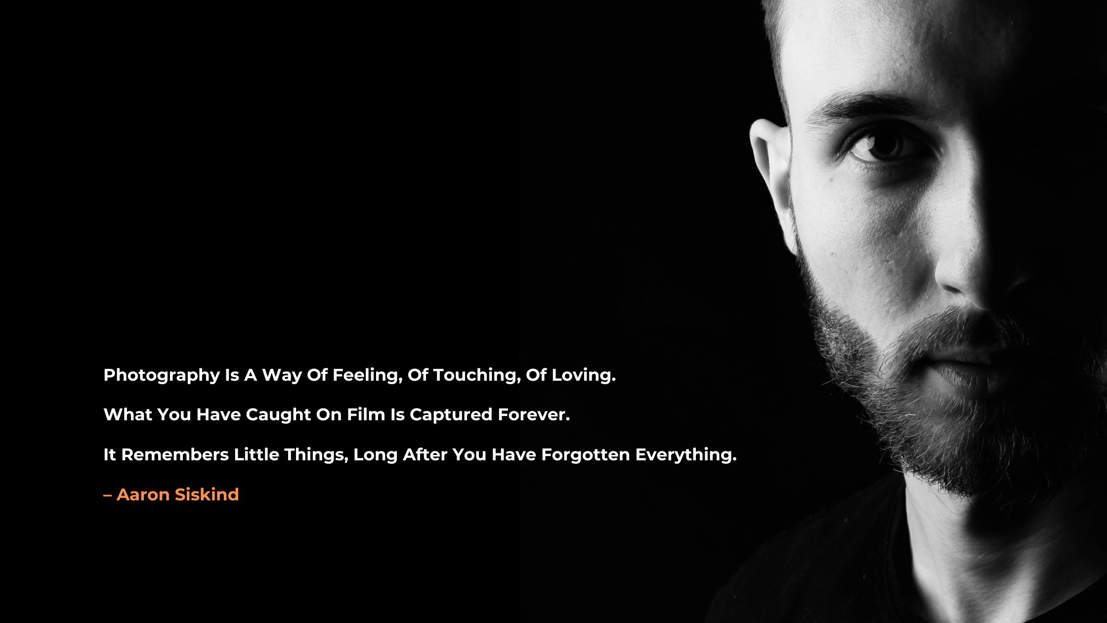 DNF Website Banner DNF Website Banner